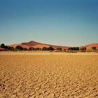 Die Namib