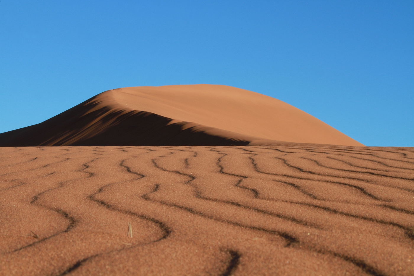 Die Namib