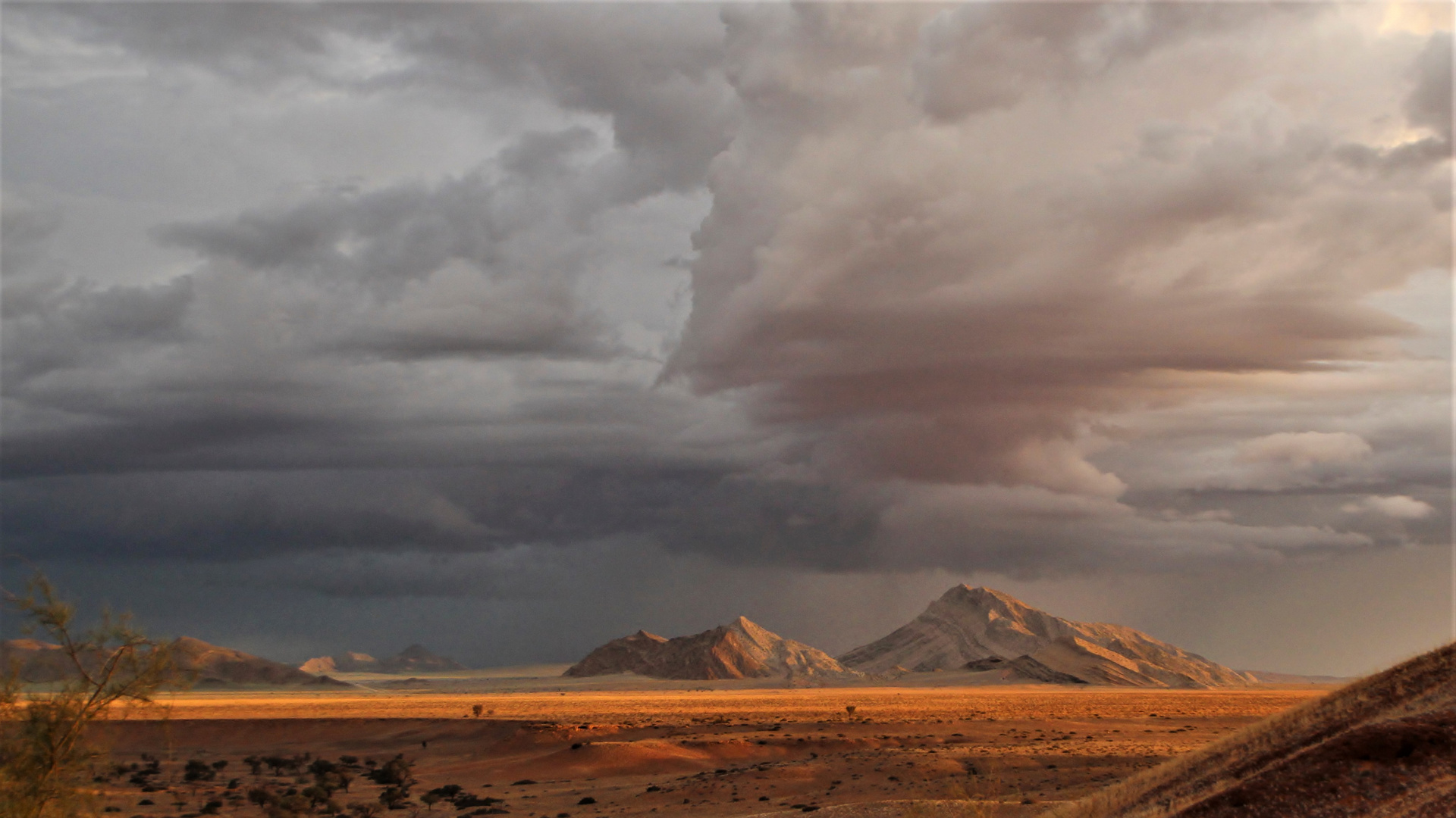 ...die Namib im Gewitter