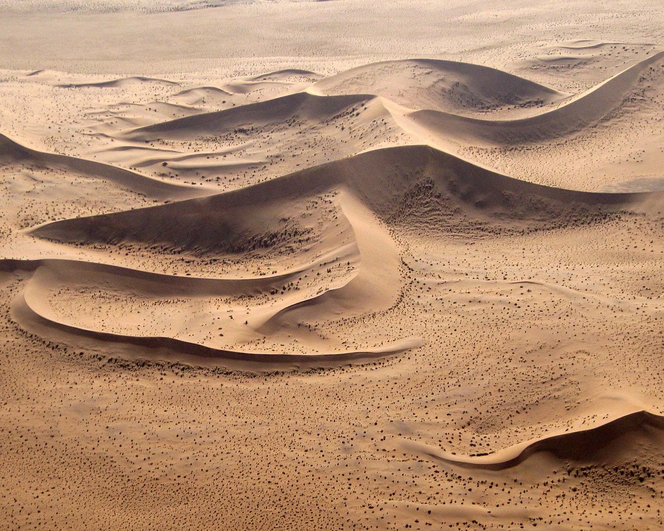 Die Namib - Natur in Formvollendung