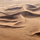 Die Namib - Natur in Formvollendung