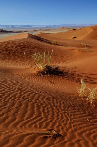 Die Namib ruft 1