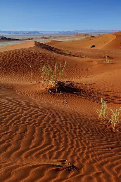 Die Namib ruft 2
