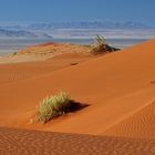 Die Namib ruft