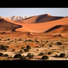 Die Namib-Wüste