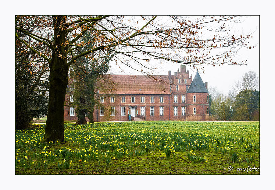 die Narzissenwiese - ein Frühlingsgruß von Schloss Herten