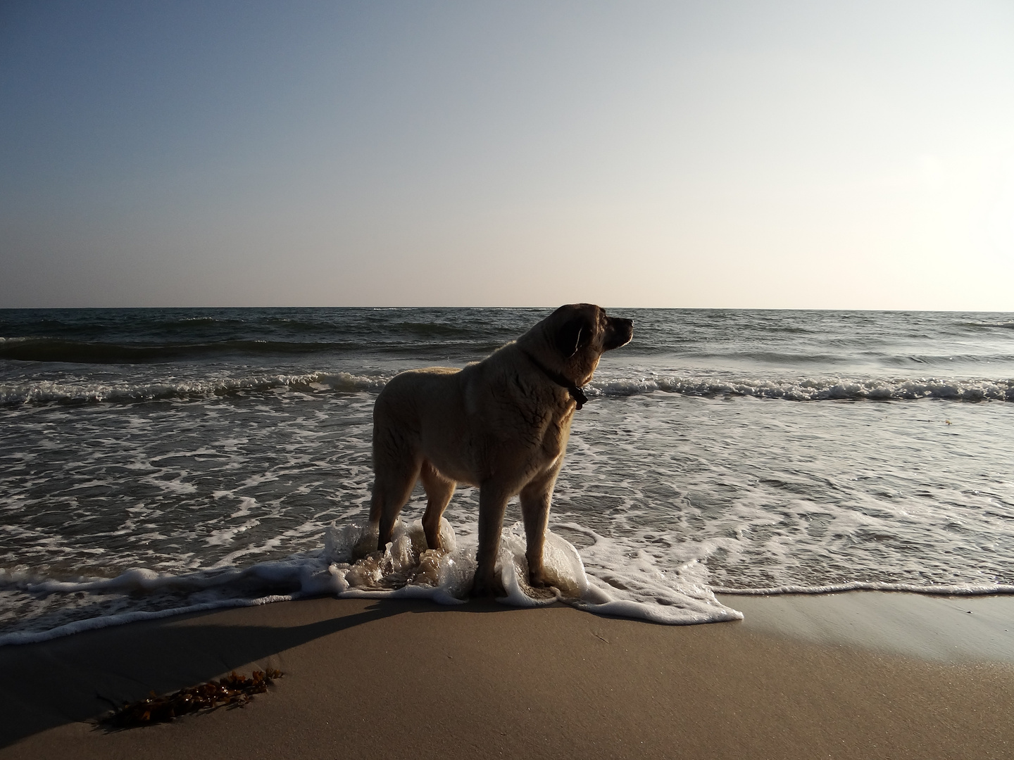 Die Nase im Wind und die Füße im Wasser...