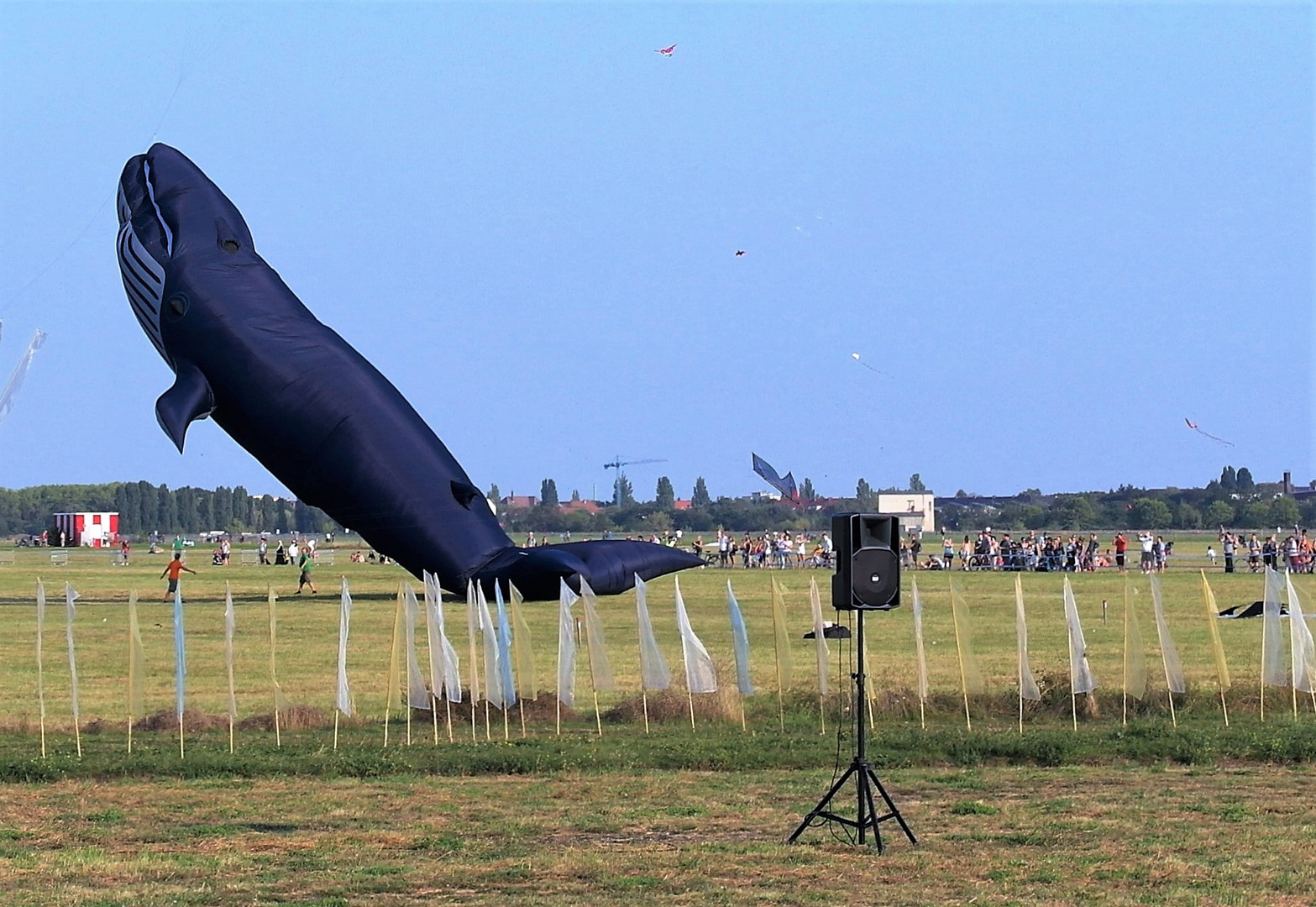 Die Nase in den Wind halten