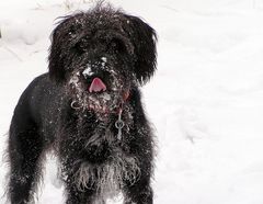 Die Nase muß Eisfrei bleiben :-)