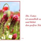 Die Natur