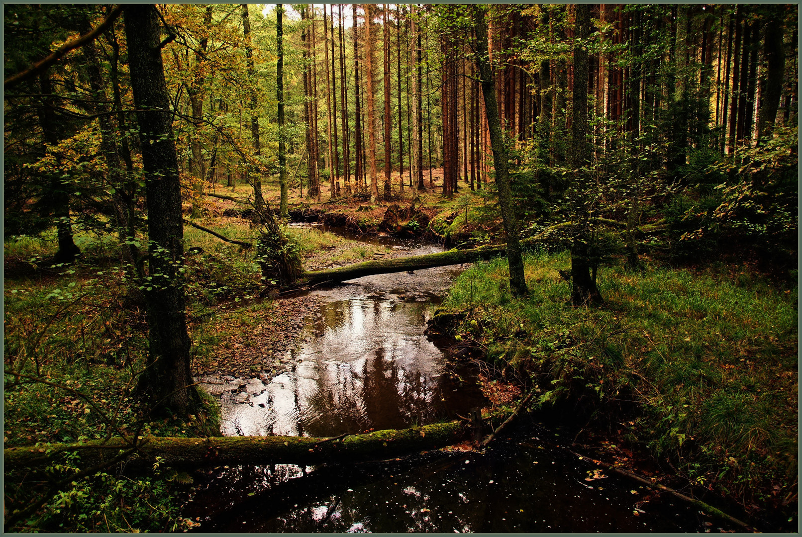 Die Natur ändert ihr Aussehen