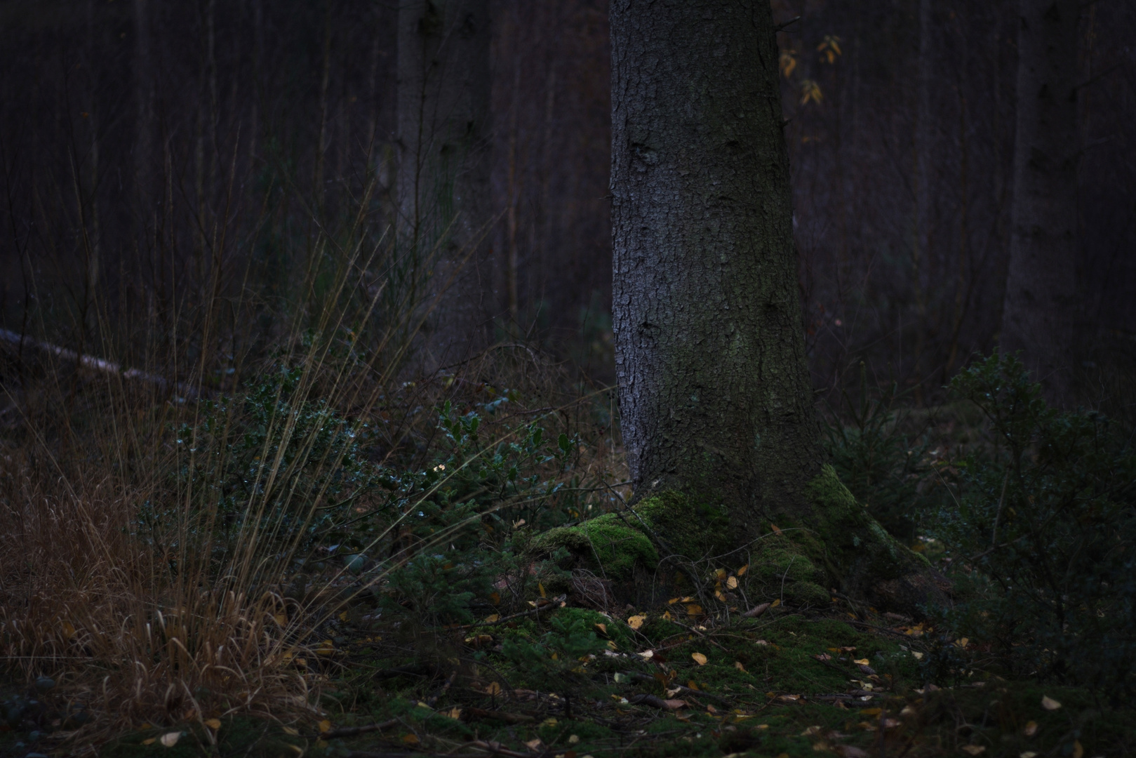 Die Natur als Bühnenkünstler