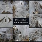 Die Natur als Künstler