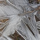 Die Natur als Künstler - Gefrorenes mit Kunstcharakter