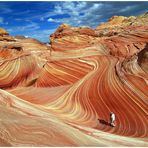 "Die Natur als Künstler" oder "Luigi Colani könnte es nicht besser"