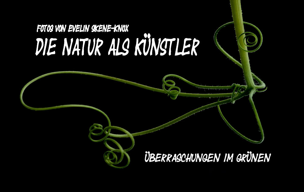 Die Natur als Künstler - Titelvorschlag