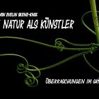 Die Natur als Künstler - Titelvorschlag