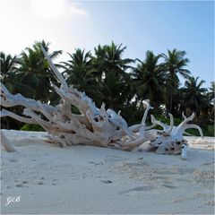 Die Natur als Künstlerin