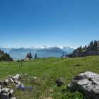 Die Natur als Landschaftsgärtner