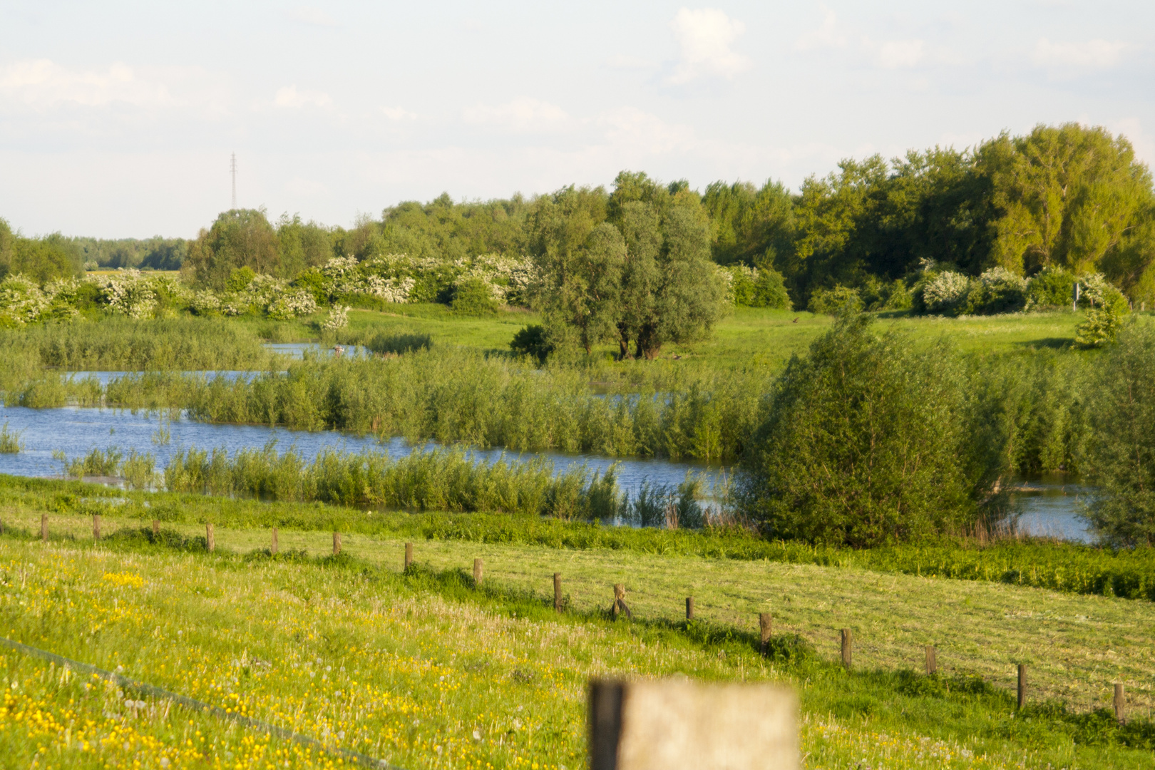 Die Natur am Niederrhein