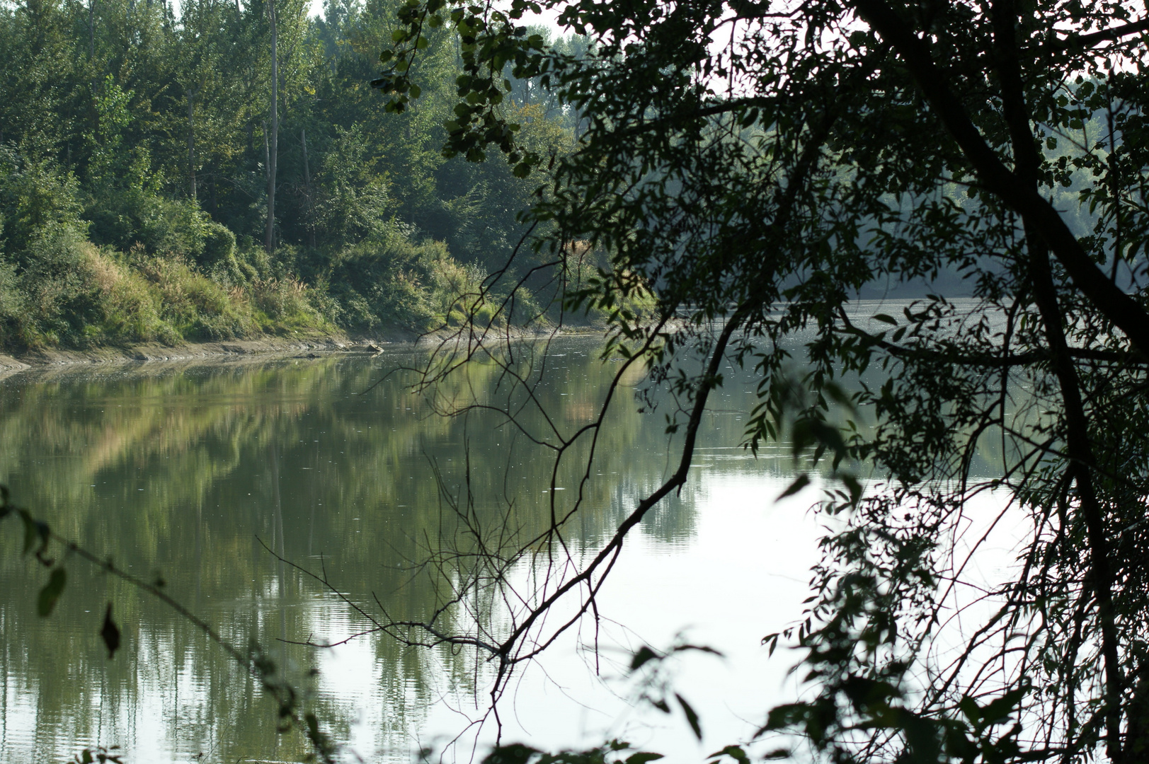 Die Natur am Rhein