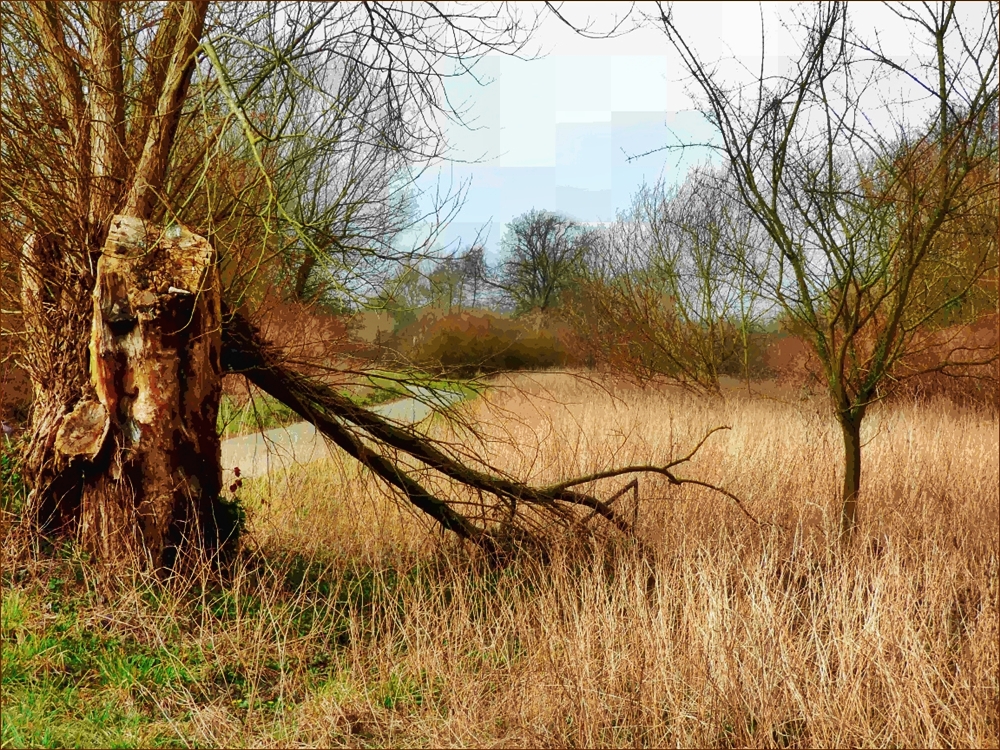 Die Natur an der Ruhr (1) (misslungen) siehe HG