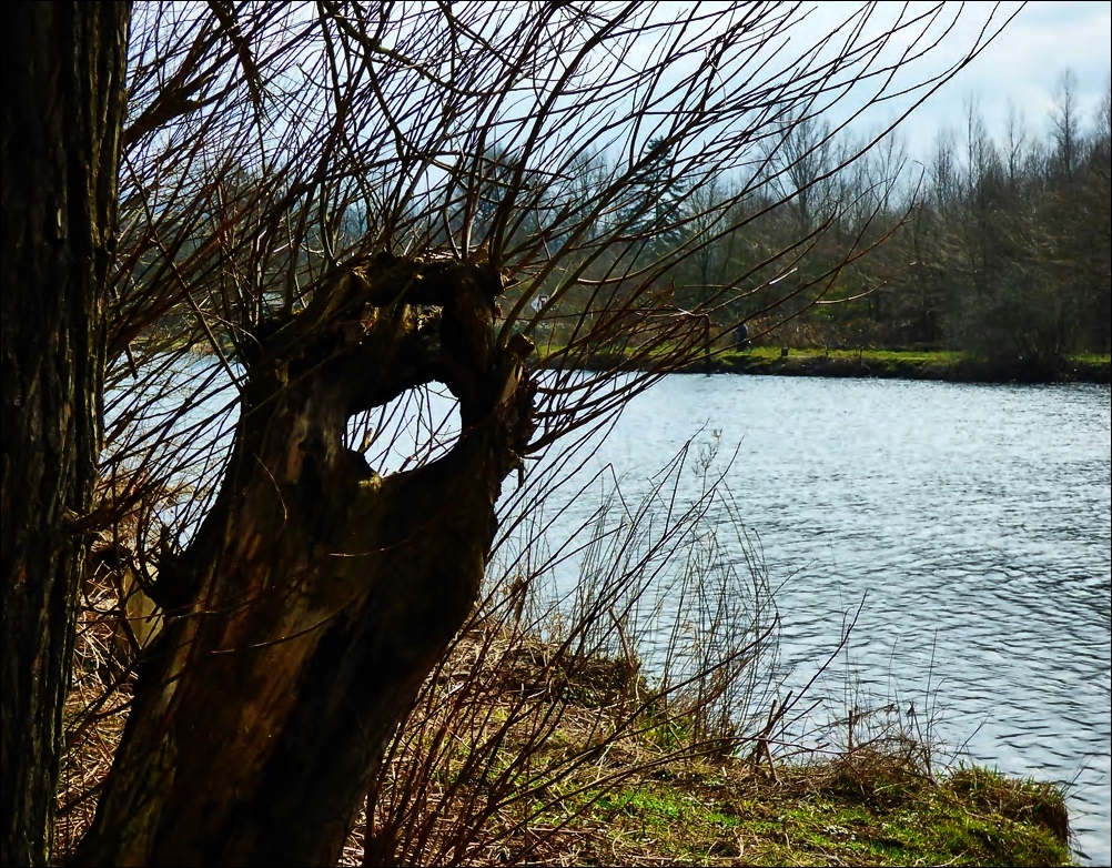 Die Natur an der Ruhr (2)