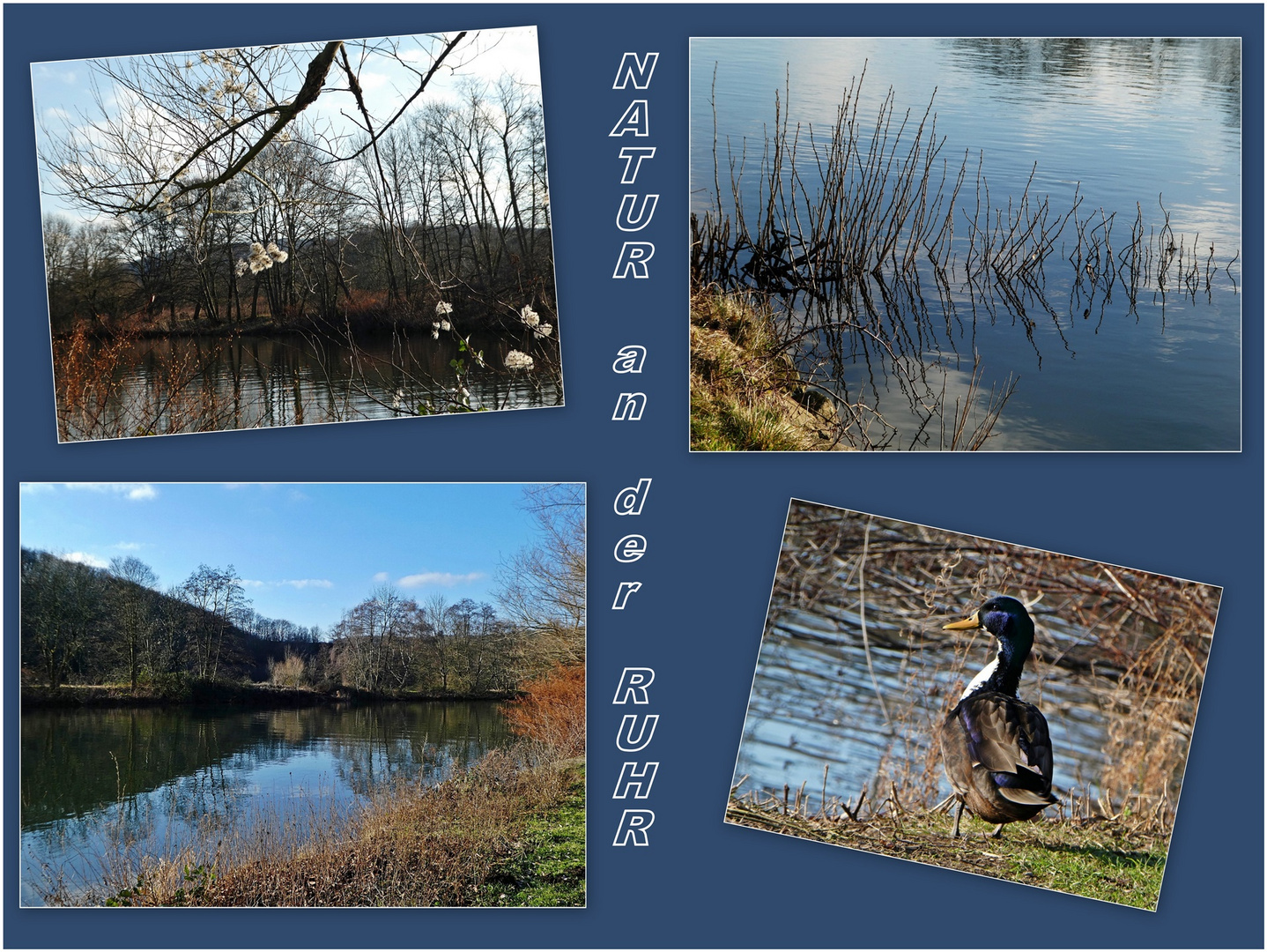 Die Natur an der Ruhr