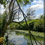 Die Natur an der Ruhr