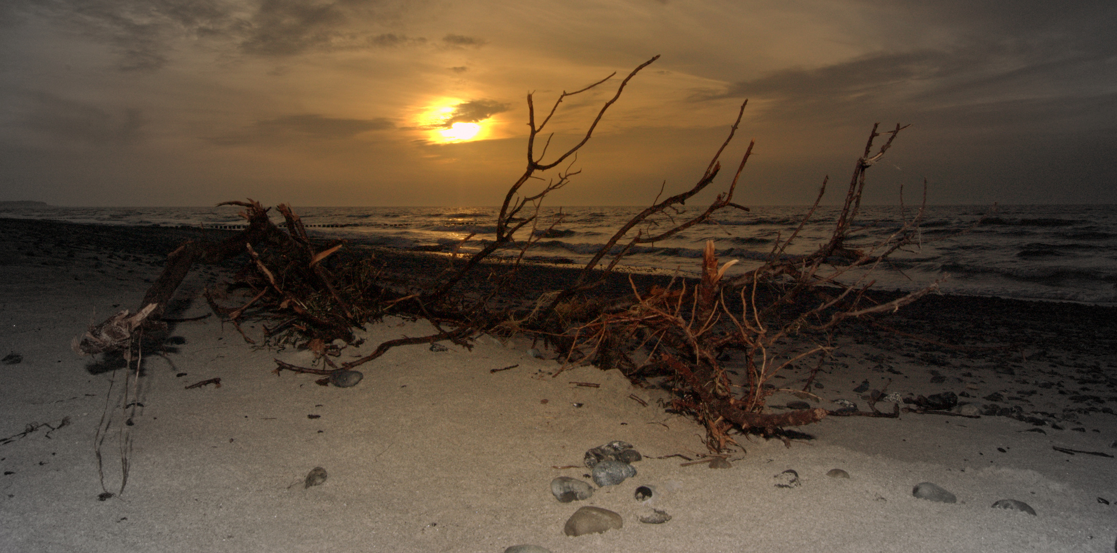 Die Natur auf Hiddensee