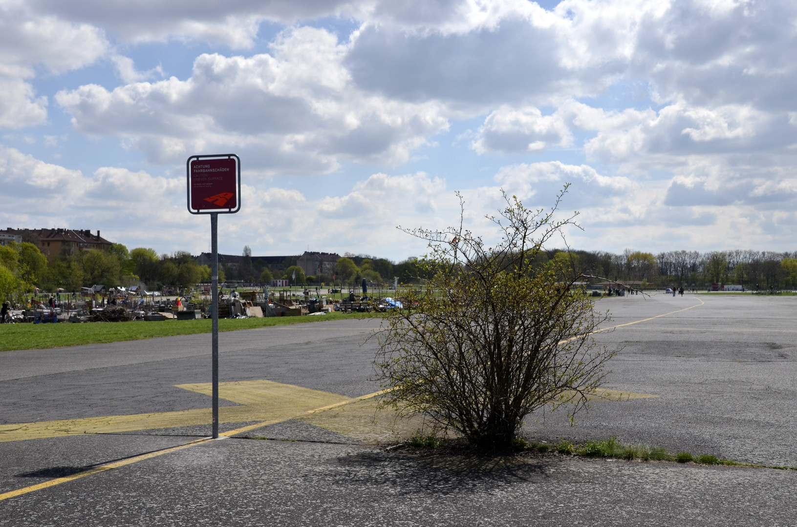 Die Natur behauptet sich