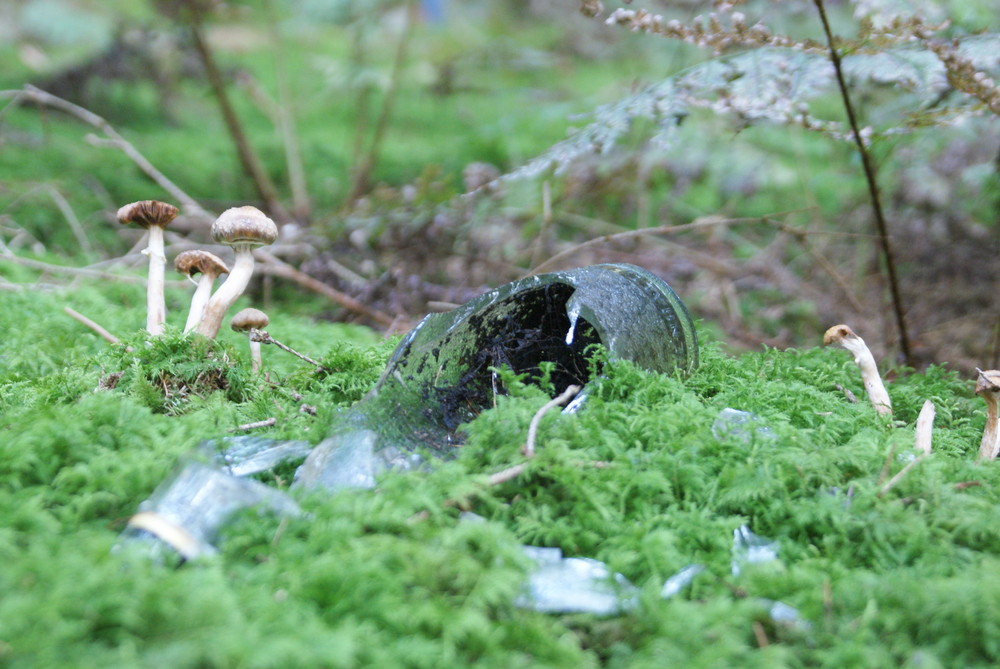 Die Natur bekämpft die Umweltverschmutzung.