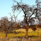 Die Natur bereitet sich auf den Winter vor!