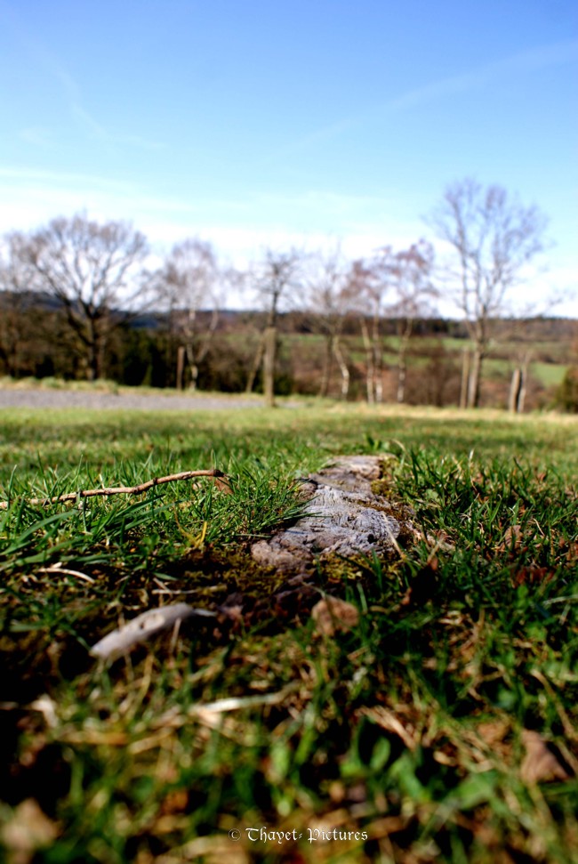 Die Natur betrügt uns nie. Wir sind es immer, die wir uns selbst betrügen.