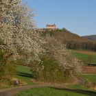 die Natur blüht...