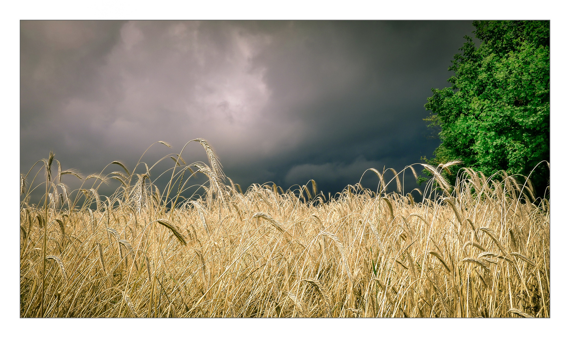 Die Natur braucht den Regen Foto & Bild landschaft, Äcker, felder