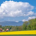 Die Natur braucht Regen