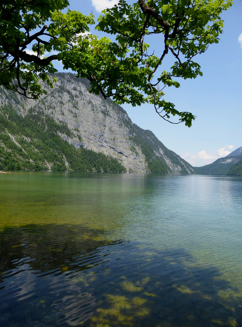 Die Natur, der beste Malermeister