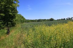 Die Natur durchstreifen