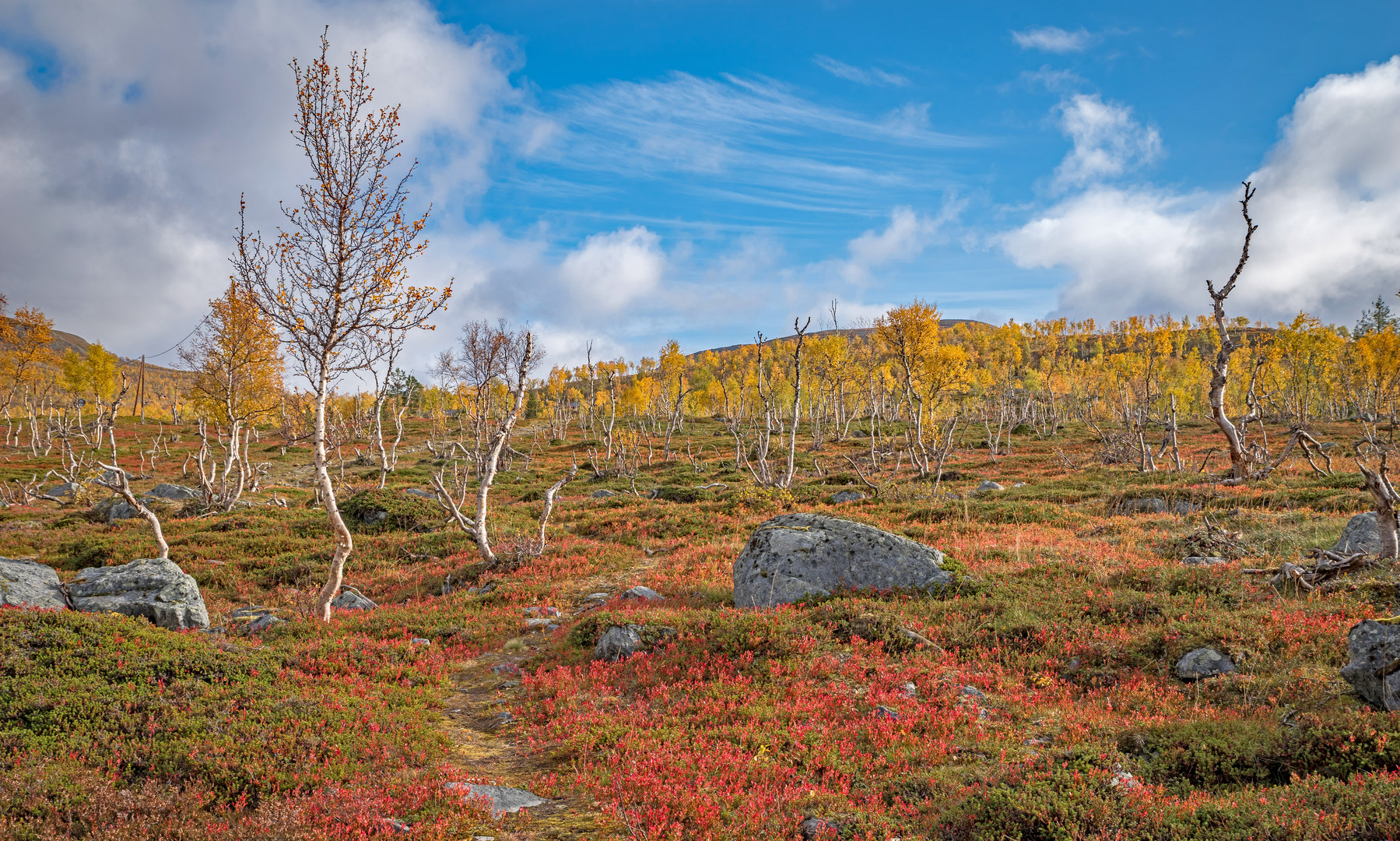 Die Natur, ein Herbstmaler