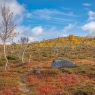 Die Natur, ein Herbstmaler