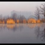 Die Natur, ein Spiegel ihrer selbst ...