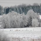 Die Natur eiskalt im Griff