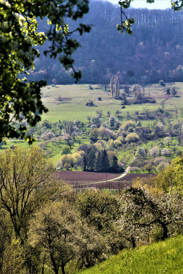 Die Natur Ende April