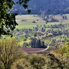 Die Natur Ende April