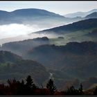 "Die Natur entfaltet ihre Pracht bisweilen ohne Zweck, zuweilen sogar mit einem Luxus."