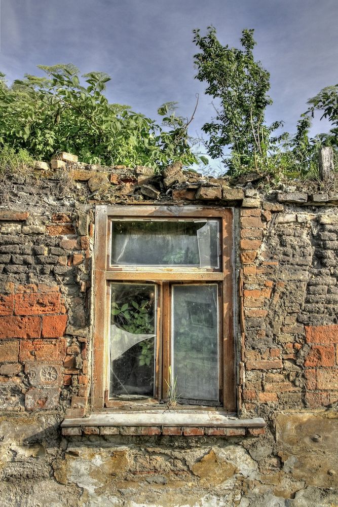 Die Natur erobert ein Haus zurück