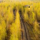 Die Natur erobert Land zurück