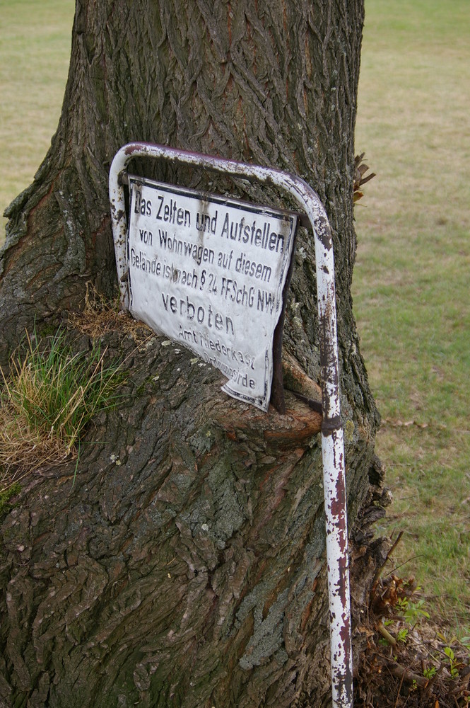 Die Natur erobert Lebensraum zurück