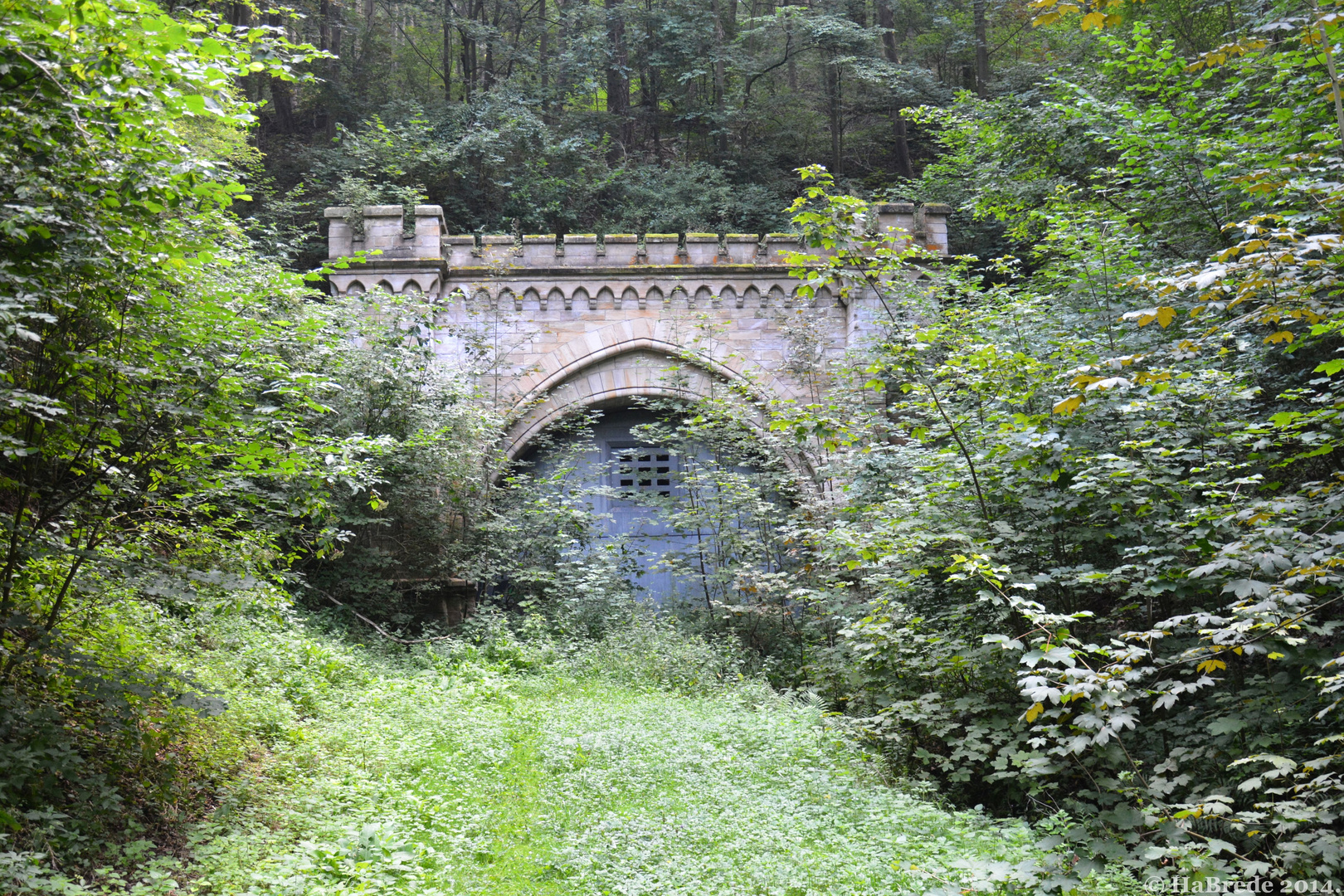 Die Natur erobert sich ein Relikt der Kanonenbahn zurück